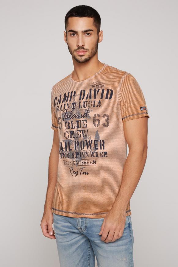 Ausbrenner-Shirt mit Streifen und Print