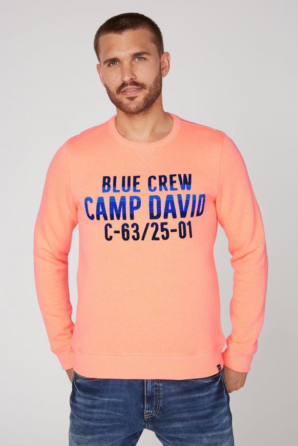 Camp david poloshirt grau - Die Produkte unter der Vielzahl an analysierten Camp david poloshirt grau!