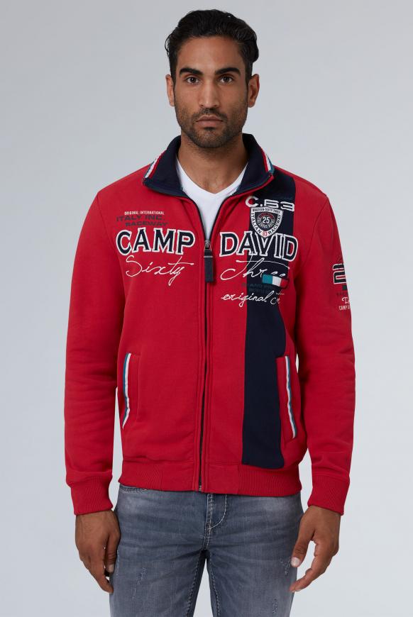 Sweatjacke mit Farbstreifen und Artwork