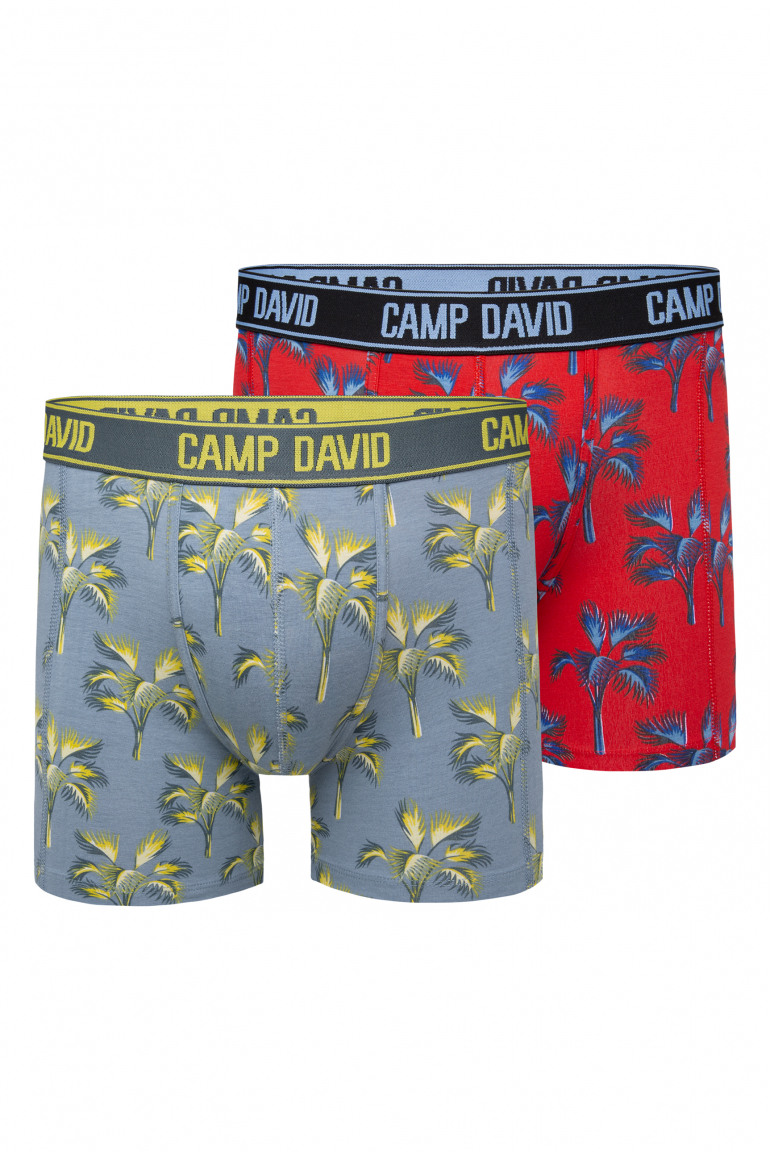 Boxershorts mit All Over Print, 2er-Pack surf grey / red