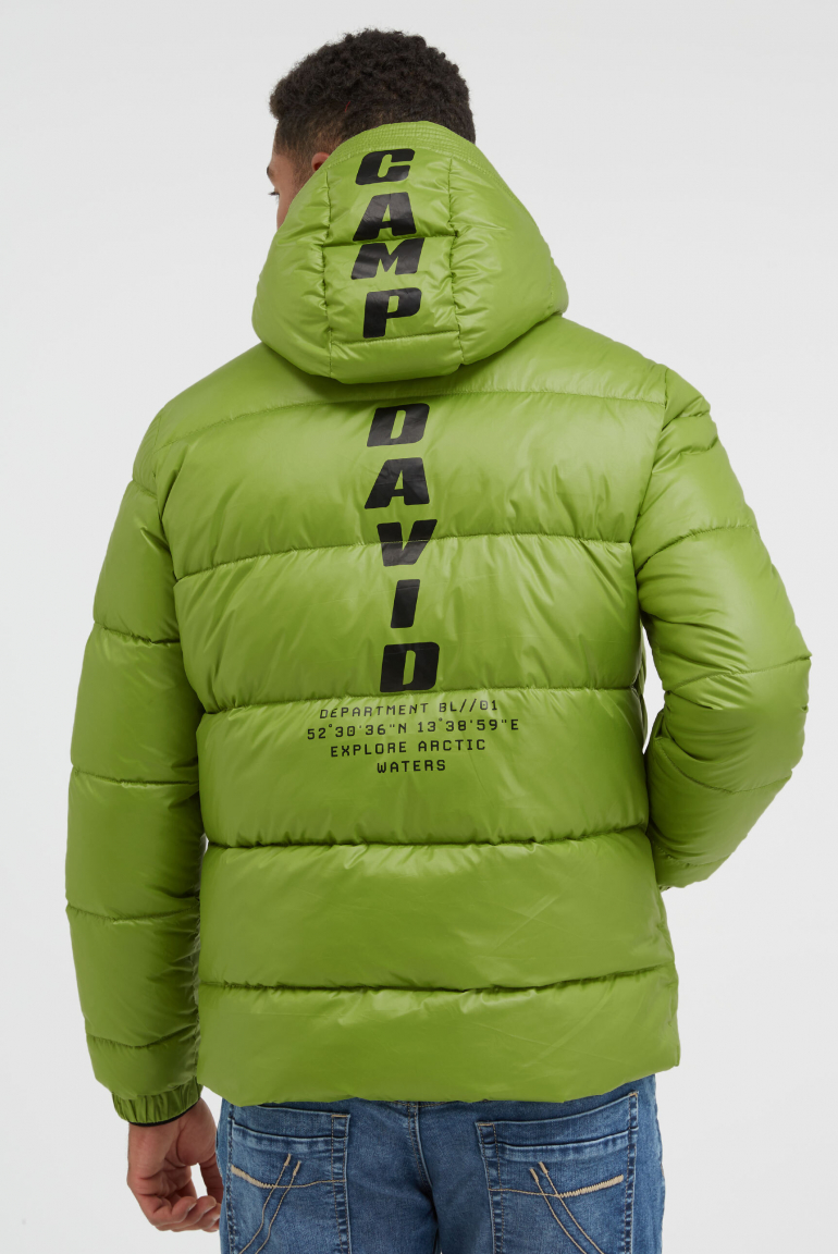 Steppjacke mit Kapuze und Rücken-Print pistachio