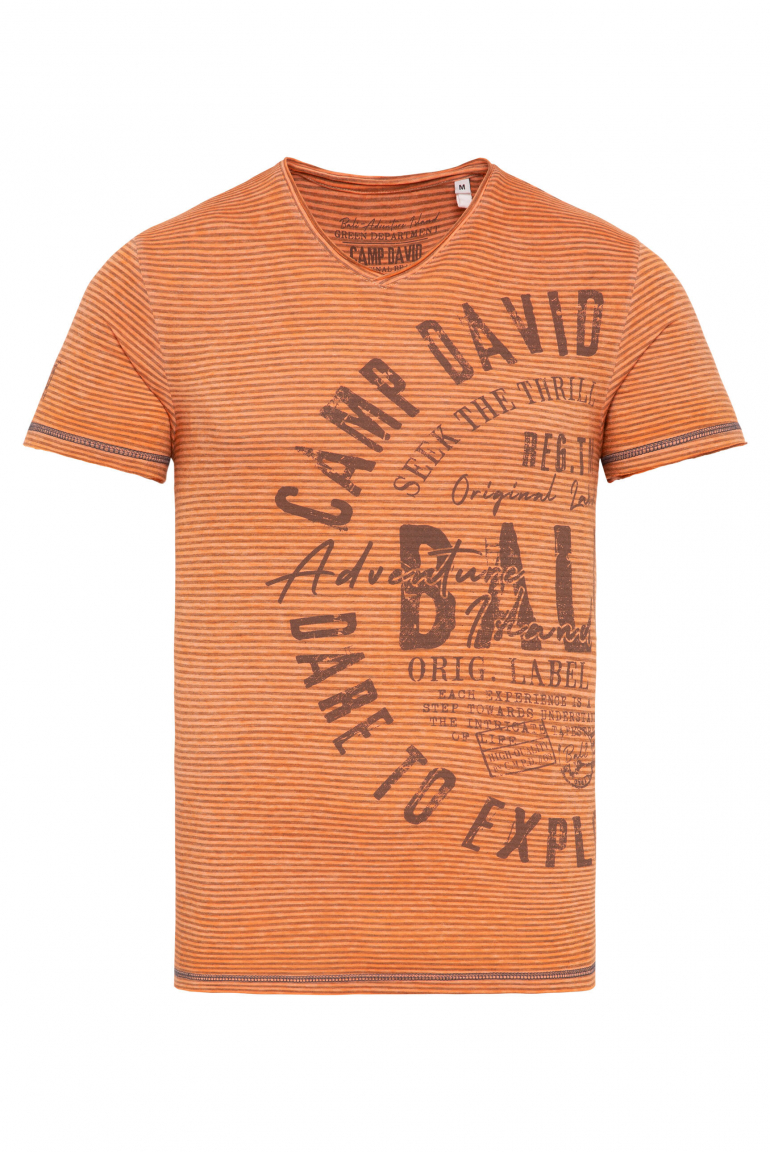 Gestreiftes Ausbrenner-Shirt mit V-Neck und Prints sunstone