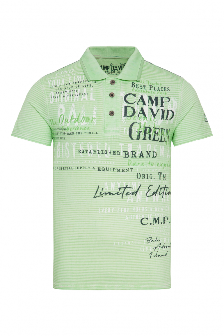Gestreiftes Polo mit Prints und Stickereien green lemon