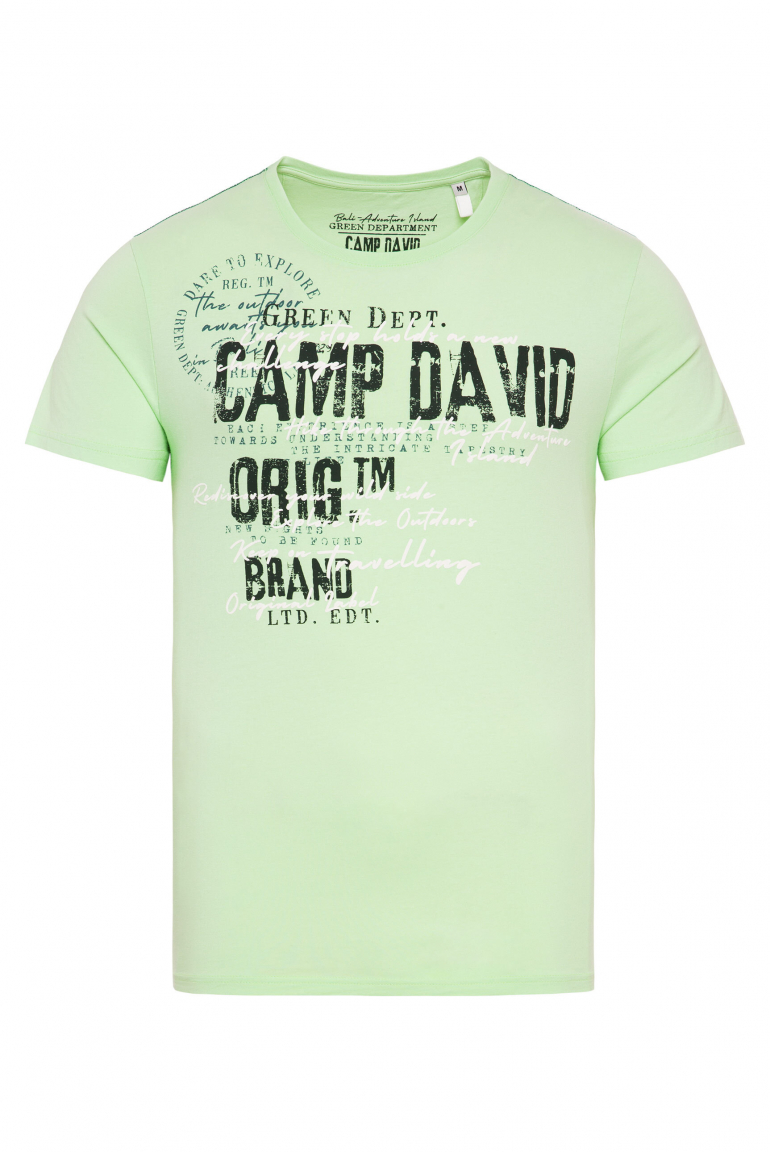 Rundhalsshirt mit Used- und Puffprint-Details green lemon