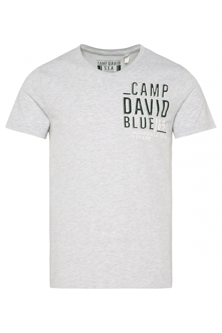 T-Shirt V-Neck mit Logo Artwork light grey melange