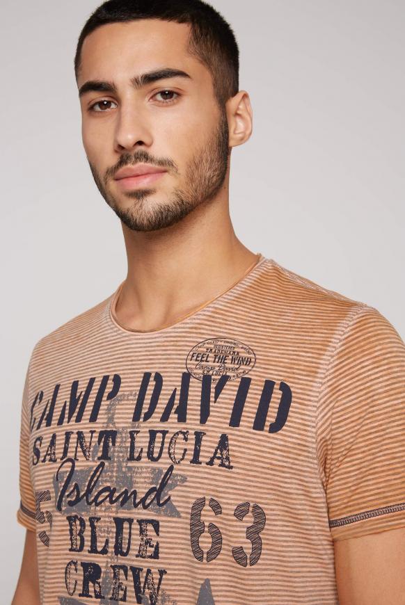 Ausbrenner-Shirt mit Streifen und Print