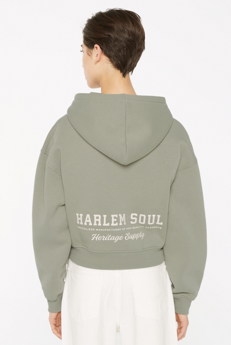DAR-LA Hoodie Jacket cropped