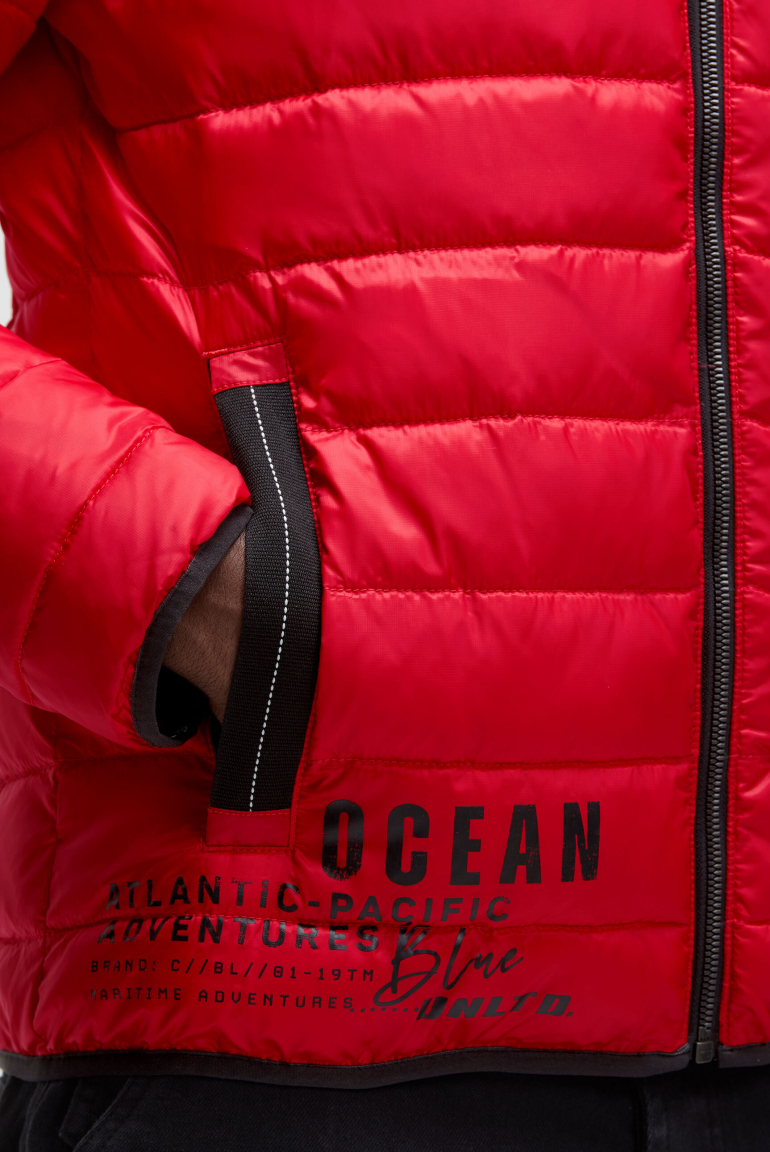 Steppjacke mit Logo Prints