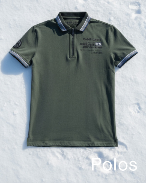 Polo liegt im Schnee