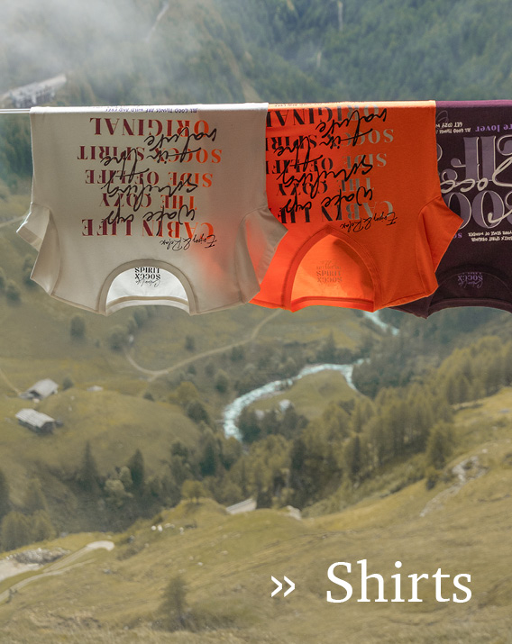 2 Shirts hängend mit einer Berglandschaft